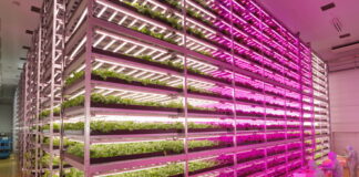 photonique horticulture
